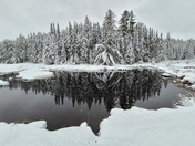 Algonquin Winter Reflections