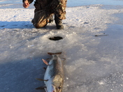 Ice Fishing on Last Mountain Lake