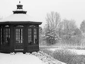 My Backyard Winter Wonderland