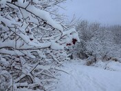 Heather Moyse Park in the Winter