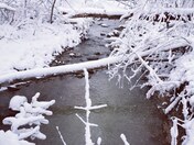 Architecture of snow