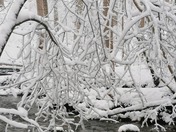 Snow storm scenery