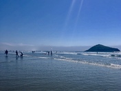 Tofina Surf