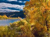 River Flowing With The Autumn Trees 
