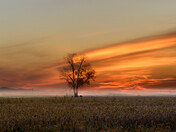 A new day
