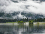 High Tide In The Estuary