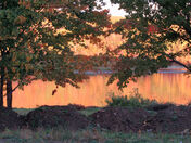 Natures paint brush 