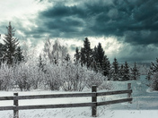 Frosty Day