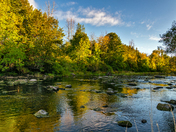 An autumn stream