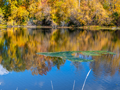 Canadian Autumn river