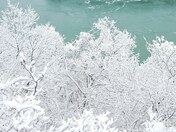 Snow on trees in the Niagara Gorge