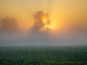 Cloudy sun