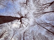 Always look up