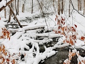 Majestic Snowy morning in nature