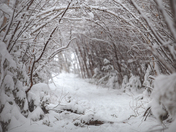 Snow path 