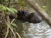 Is this really food?