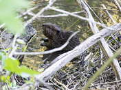 Can I have some more please?