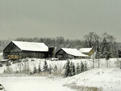 Old Farmstead