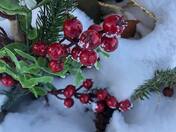 Winter Berries