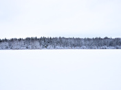 Kiwanis Winter Wonderland