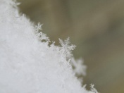 Snowflake Macro