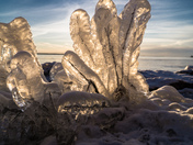 Frozen 