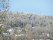 frosty morning
