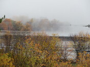 foggy morning