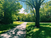 Landscape/Beautiful Nature