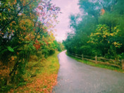 Landscape/Beautiful Nature