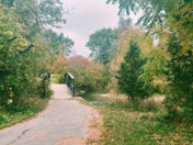 Landscape/Beautiful Nature