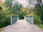 Landscape/Beautiful Nature