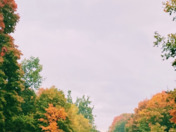 Landscape/Beautiful Nature