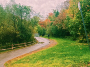 Landscape/Beautiful Nature