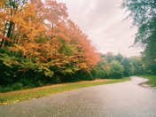 Landscape/Beautiful Nature