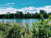 Landscape/Beautiful Nature