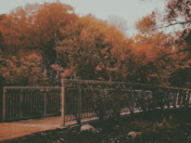 Landscape/Beautiful Nature