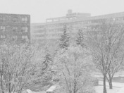 Landscape/Beautiful Nature