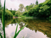 Greenery - Back in Summer