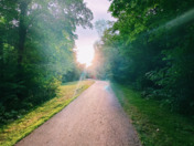 Greenery - Back in Summer