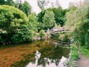 Greenery - Back in Summer