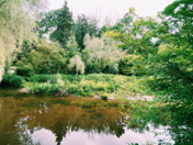 Greenery - Back in Summer