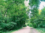 Greenery - Back in Summer