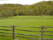 Beyond the Fence