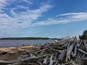 Logs on beach near Hay River, NWT
