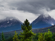 Drive stop take photo 