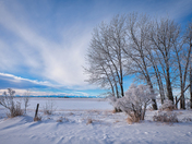 Winter on the Prairies