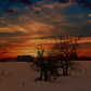 Previous upload