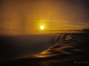 Golden Hour in the Morning