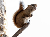 Your Disturbing My Peace!